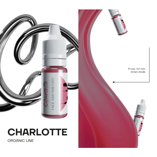 FACE Charlotte Hybrid Line Lip Pigment 2