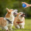 Automatic Jump Electronic Dog Toy Ball Smart Moving Rolling Ball for Puppy 5