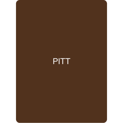 FACE Pigment – Pitt (Organic Brow Pigment) 2