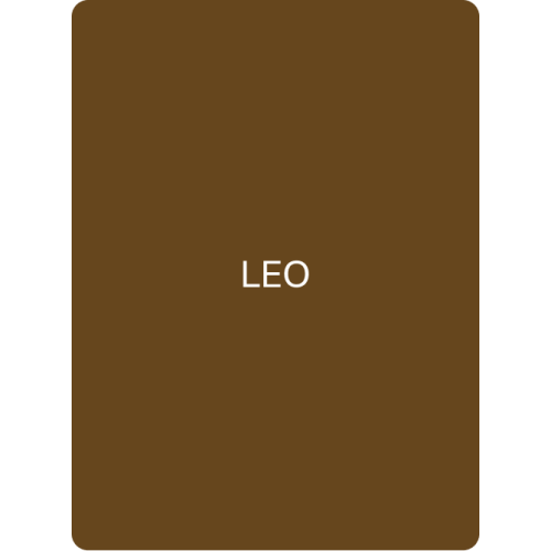 FACE Pigment – Leo (Organic Brow Pigment) 2