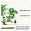Garden Soil Moisture Meter 10 Pack 20cm Plant Water Level Indicator 5