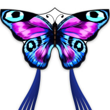 SGftre 2 Piece Set Butterfly Kites for Kids and Adults,Easy to Fly Outdoor Toy for Boys and Girls, for Children