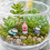 ZEAYEA 30 Pcs Mini Penguin Figurines, Cute Penguin Characters 8