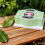 Leaf Structure Model, Plant Enlarged Display Anatomical Model Portable Junior High School Biology Teaching Instrument 6