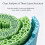 Leaf Structure Model, Plant Enlarged Display Anatomical Model Portable Junior High School Biology Teaching Instrument 4
