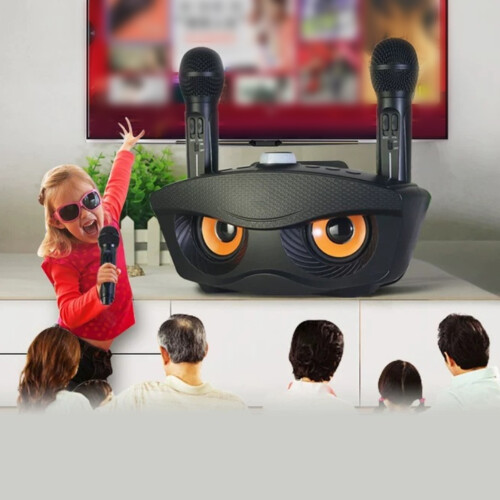 SD306 KTV Lautsprecher mit Doppelmikrofon 2
