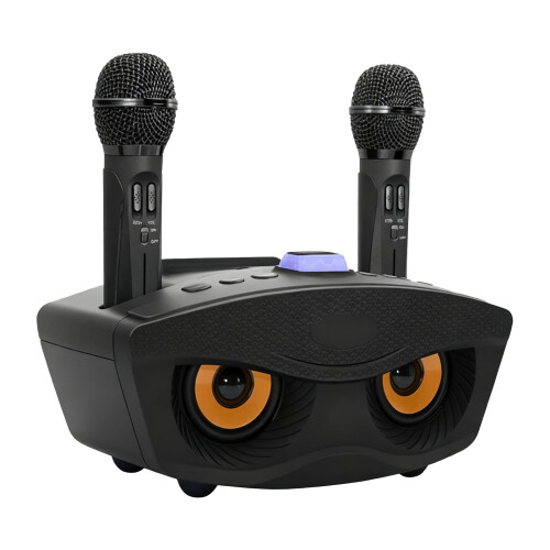 SD306 Karaoke Lautsprecher Bluetooth