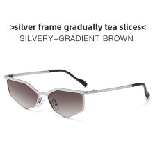 (Silver Elephant Grey)Metal Polygon Sunglasses With Uv400 Protection For Casual And Streetwear Styles