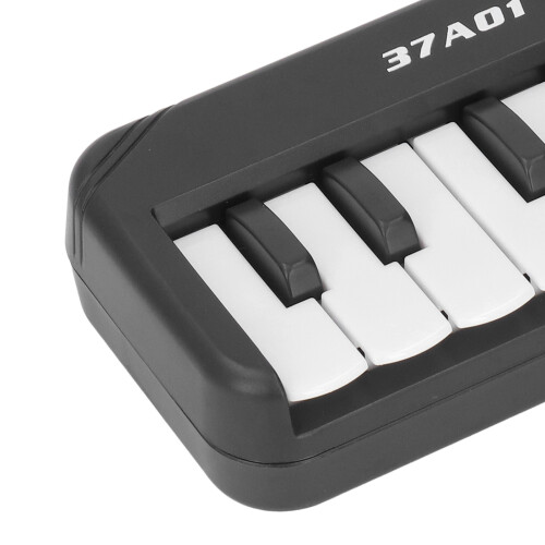 Kinder Piano 37 Tasten 24 Song-Demos 2