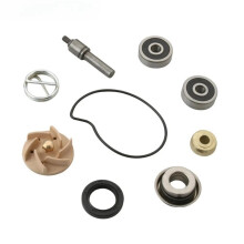 Motorcycle Water Pump Repair Kit for Gts Gtv 250cc Gts 300cc 100110210