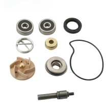Motorcycle Water Pump Repair Kit for Gts Gtv 250cc Gts 300cc 100110210