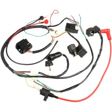 Wiring Harness Loom Voltage Regulator Rectifie Kill Coil Relay CDI Kit for Zongshen 190cc Electric Dirt Bike