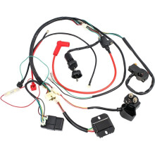 Kabelbaum, Spannungsregler, Gleichrichter, Zündunterbrecher, Anlasserspule, Relais, CDI-Kit für Zongshen 190cc Elektro-Dirtbike