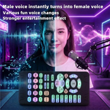 Handheld Voice Changer Portable Voice Sound Card Devices with Multiple Audio Effects Universal Voice Changer