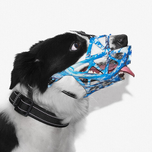 Adjustable Dog Muzzle – Breathable Anti-Bite Snout Mask for Small & Medium Dogs