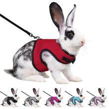 Small Pet Harness with Bell – Padded No-Pull Vest & Leash Set for Guinea Pigs & Rabbits