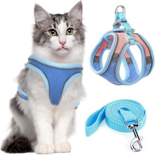 Anti-Escape Cat Harness with Leash – Reflective Padded Vest, 1.5M, Size S, Blue