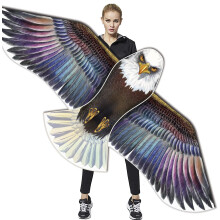 HONBO Huge Eagle Kites for Adults and Kids,Easy to Fly kite for Beach Trip, Outdoor Activities-200ft Line with Swivel-Bonus Durable Polyester Bag