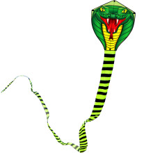 Touch the sky 8m Long Snake Kite for Kids and Adults, Easy to Fly, Exquisite Fabrics and Unique Structure Design