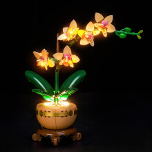 Light Kit Compatible with Lego 10343 Mini Orchid (No Model)
