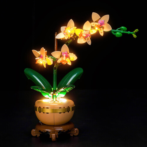 Light Kit Compatible with Lego 10343 Mini Orchid (No Model)