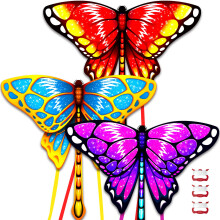Kite for Kids Ages 4-8 Easy to Fly, Kites with String/Bag/Rods, Great for Beach Trip Park Outdoor Garden Family Activities Games Gifts