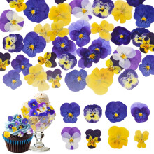 80 Pieces 8 Types Naturally Dried Pressed Edible Flowers for Decorating Cake Toppers - Mix of Tricolor Viola for Cocktails, DIY Crafts