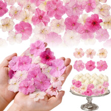 96 Pcs Pink Natural Dried Pressed Edible Flowers for Cake Topper Decorating Cupcake Toppers Cocktails Resin Jewelry Making DIY Art Crafts