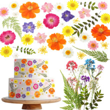 96 Pieces 8 Types Naturally Dried Pressed Edible Flowers for Decorating Cake Toppers - Mix of Multicolored Viola for Cocktails, DIY Crafts