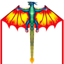 Dragon Kite for Kids and Adults-Easy to Fly for Beginners