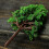 47 Pieces Model Trees, Miniature Trees, Miniature Model Trees Landscape 3