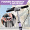 Foldable Scooter with Adjustable Handlebar 3