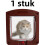 Controllable Cat Flap Door – Two-Way Entry for Pets (Brown) 1
