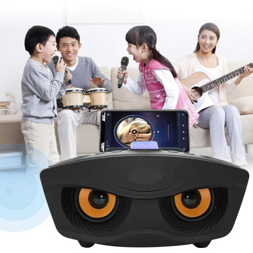 SD306 Karaoke Player Lautsprecher mit 2 Mikrofonen
