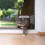 Controllable Cat Flap Door – Two-Way Entry for Pets (Brown) 6