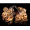 Halloween Skull LED Light String 3m 20 Lights Battery Operated White Decorative String Lights 2
