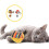 2-Set Cat Interactive Teething Balls – Kitten Chew Toys 6