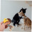 2-Set Cat Interactive Teething Balls – Kitten Chew Toys 5