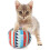 2-Set Cat Interactive Teething Balls – Kitten Chew Toys 2
