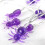 Halloween LED Spider Light String Roxo Luzes decorativas internas 28x13x9cm 1