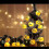 Pumpkin Lights LED String Lights 20 Pack 9.84ft USB Powered Waterproof Halloween Decoration 4