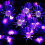 Halloween LED Spider Light String Roxo Luzes decorativas internas 28x13x9cm 2