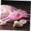 Drawstring Candy Bags 100 Pieces Small Party Favor Mesh Wedding 4