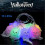 Skull String Light 10 LED Halloween Decoration Transparent Cable Water Resistant IP42 250cm 3