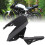 Kettenkasten MT-07 Moto Cage 2015-2017 16
