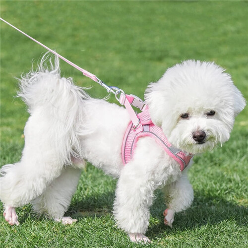 No-Pull Dog Harness – Adjustable Reflective Breathable Mesh Safety Harness 1