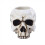 Resin Skull Shape Candle Holder Gothic Decor Table Candlestick for Cylindrical Candles 2