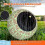 Halloween Inflatable Ghost Eyeball Lights with LED Remote Control Waterproof IP65 5
