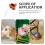 3 Stück Mini Orange Haustier Hexenhüte Halloween Leichte Polyacrylfaser 4