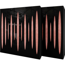(Black glossy Plastic, Rose) 2 Pack - Diffuse Sound-Absorbing Acoustic Panel PULSAR with Velvet Fabric & Mounting Kit | 50x50x5cm | Reflection